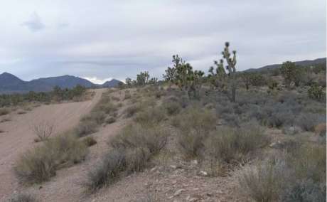 1.27 acres in Arizona